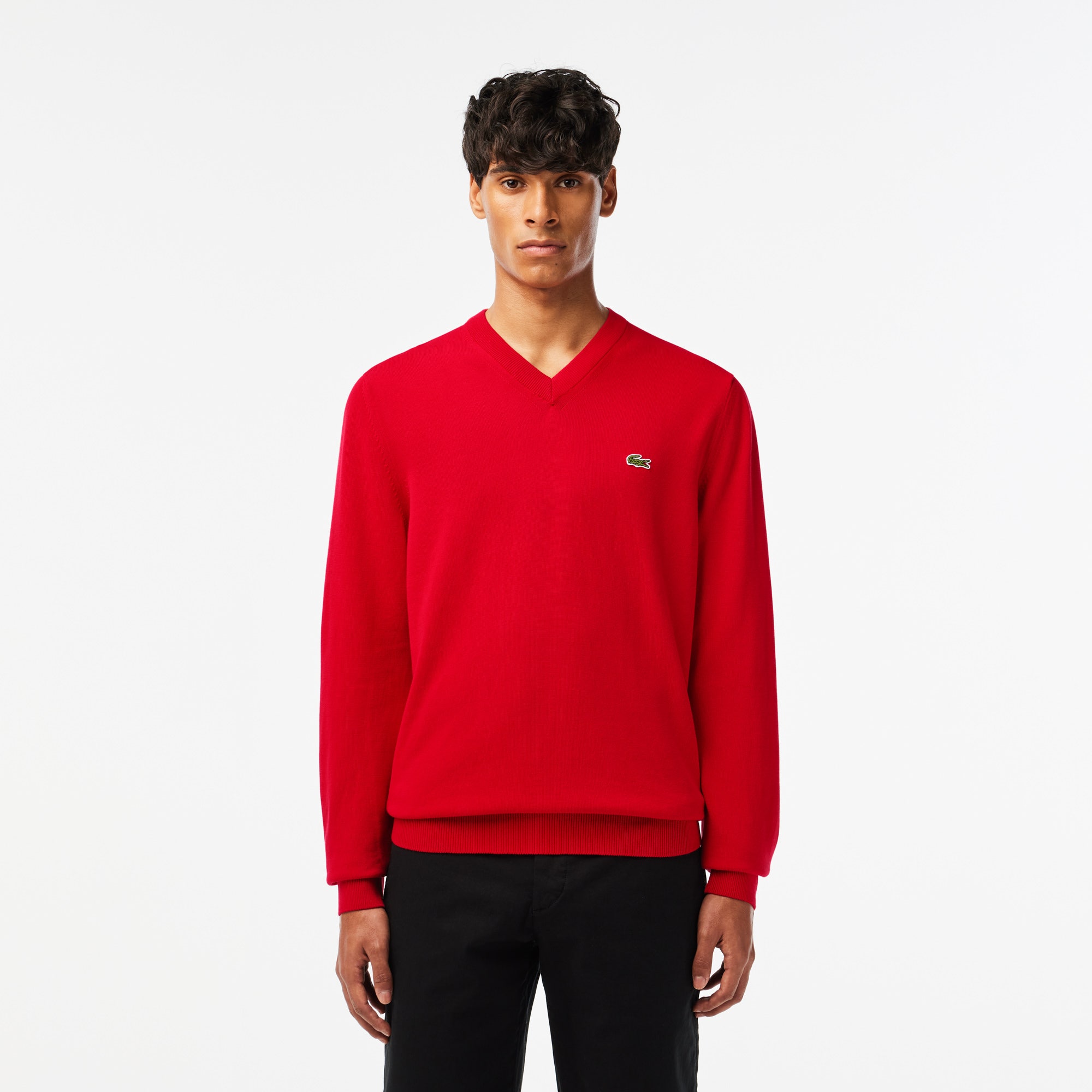 Monochrome Cotton V-neck Sweater