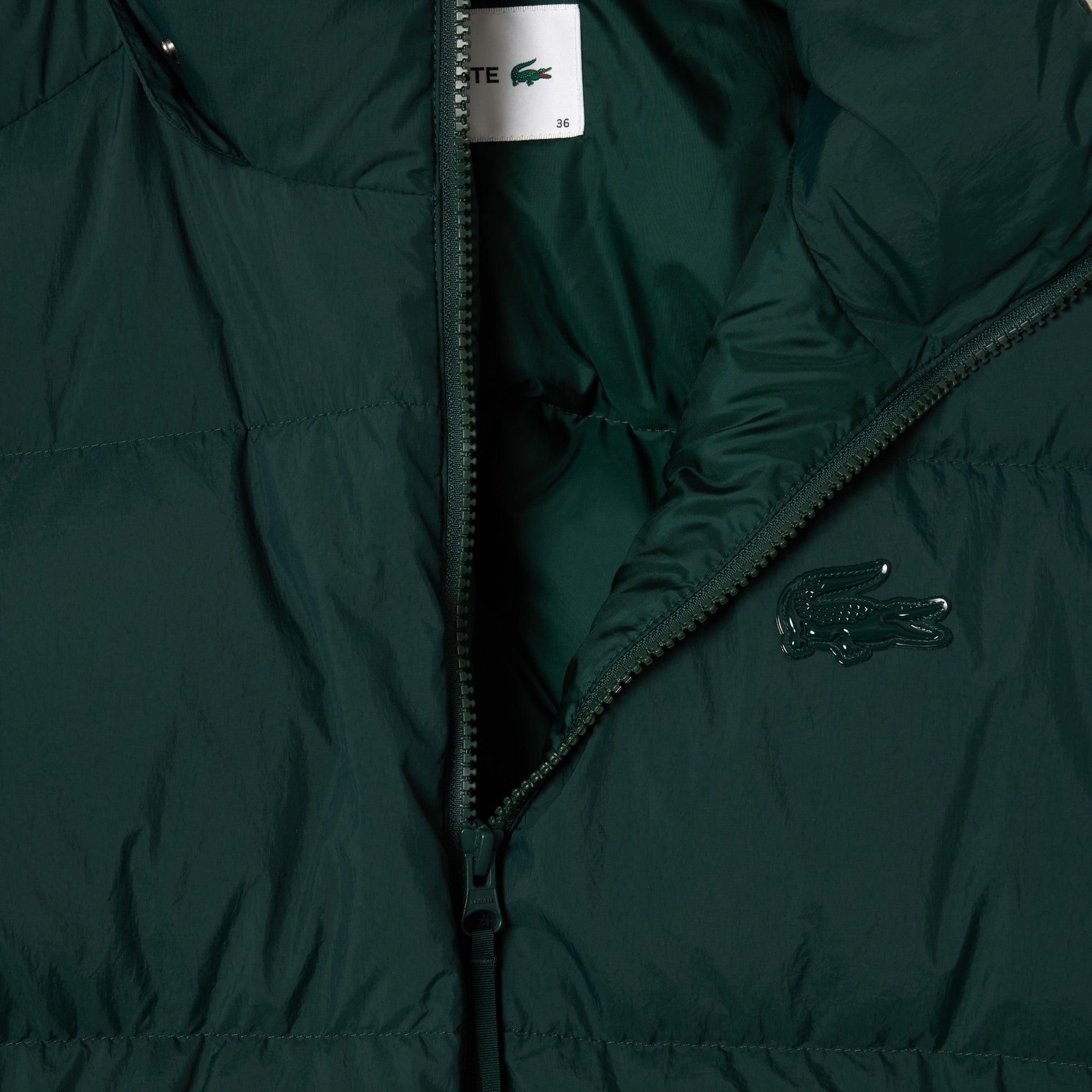 Relaxed Fit Glossy Crocodile Down Jacket