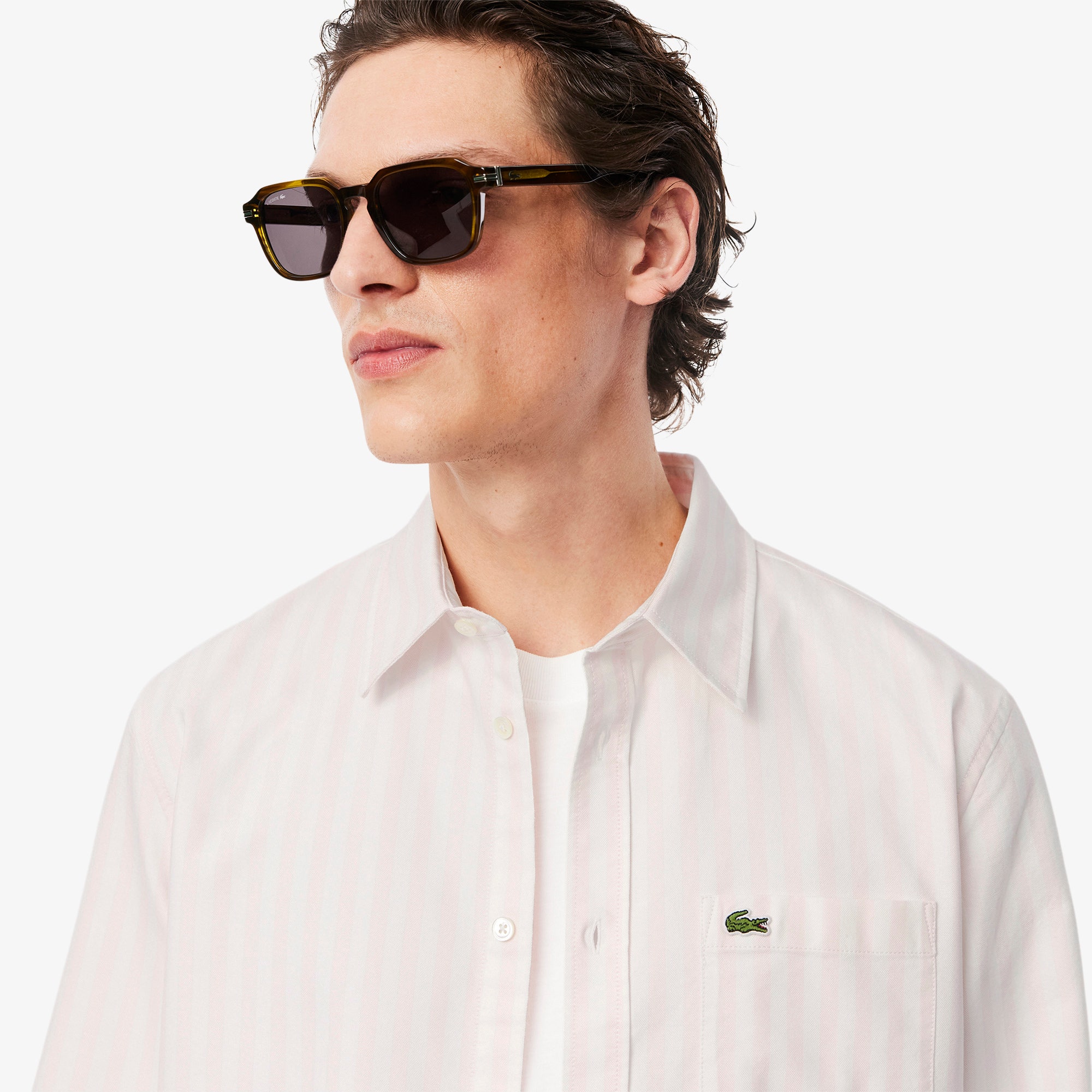 Regular Fit Striped Oxford Shirt