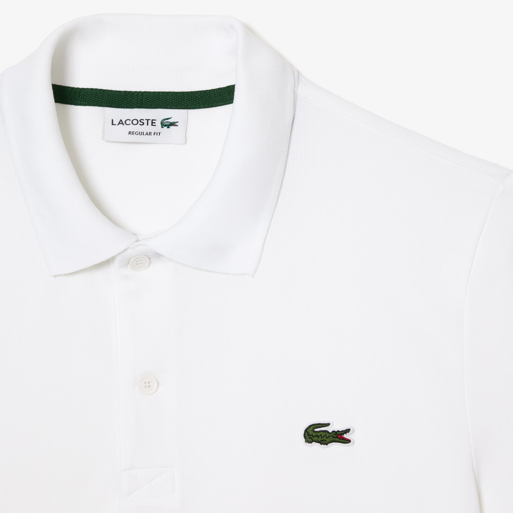 Regular Fit Cotton Polo Shirt