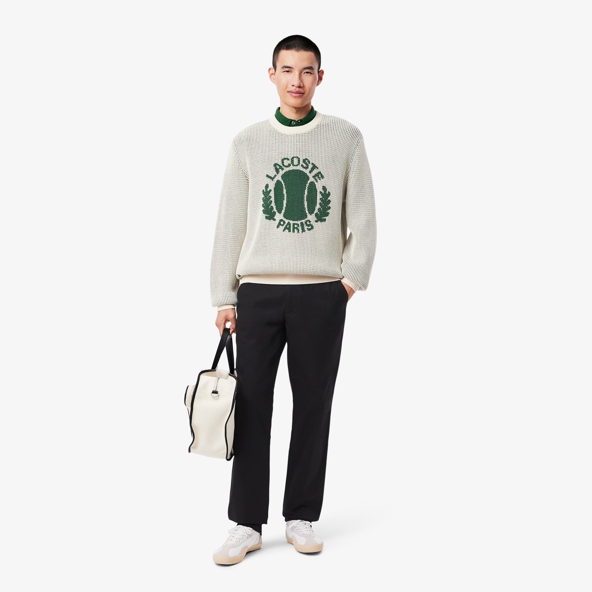 Regular Fit Cotton Chino Pants